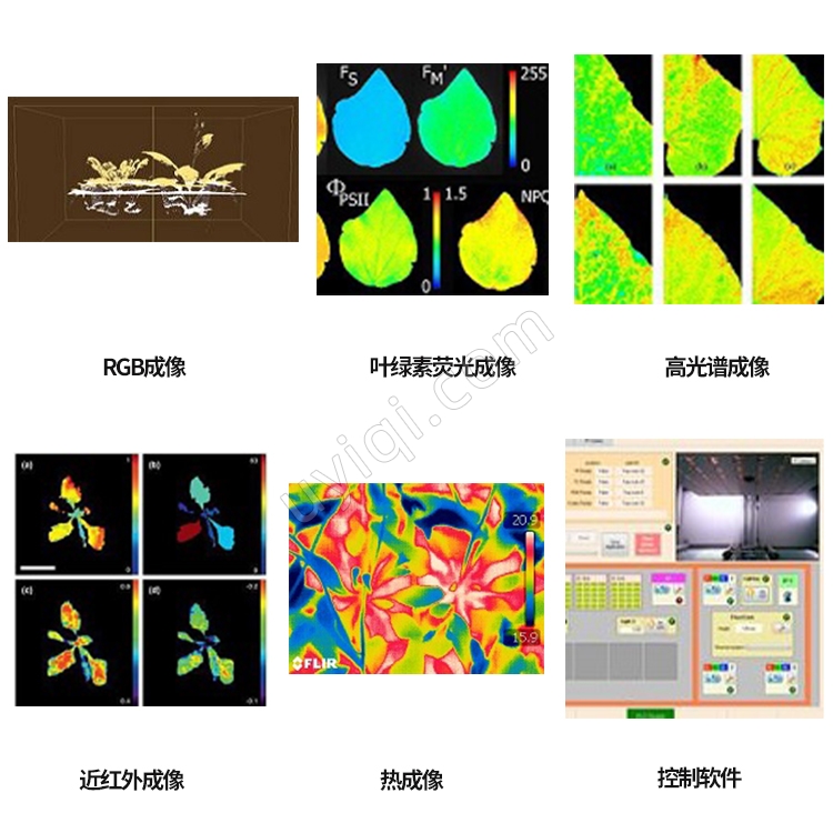 PlantScreen高通量植物表型成像分析系統(tǒng)捷克PSI