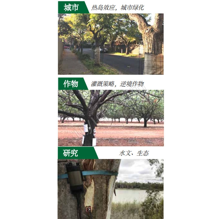 SFM1x植物莖流液流計澳大利亞ICT