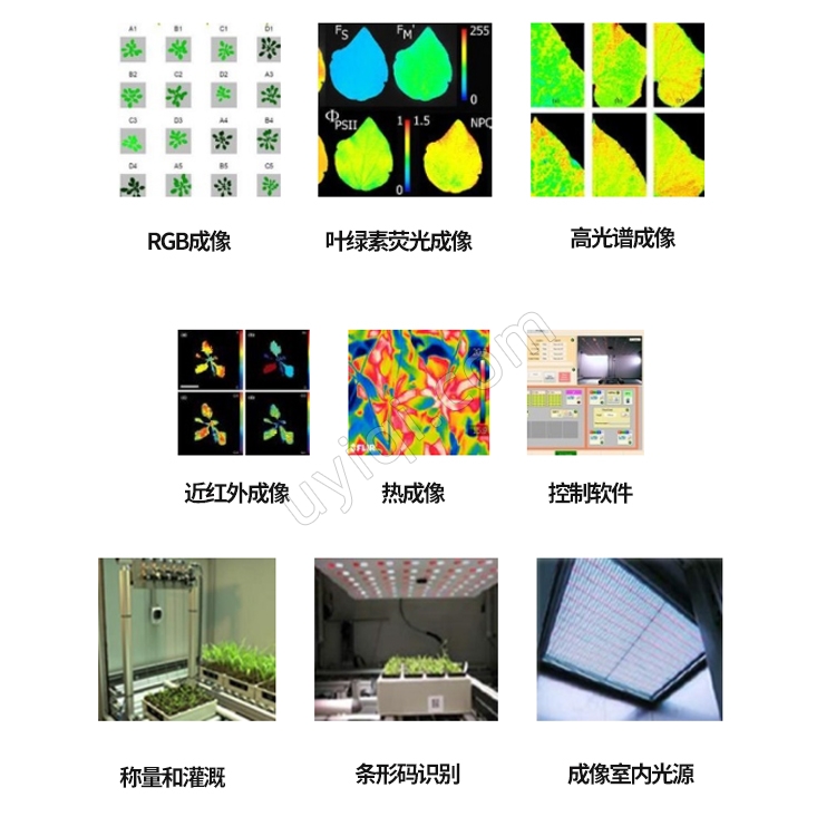 PlantScreen高通量植物表型成像分析系統(tǒng)捷克PSI