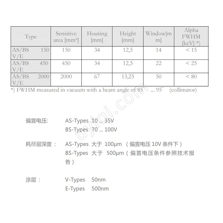 德國SARAD離子注入式半導體探頭BS硅探測器