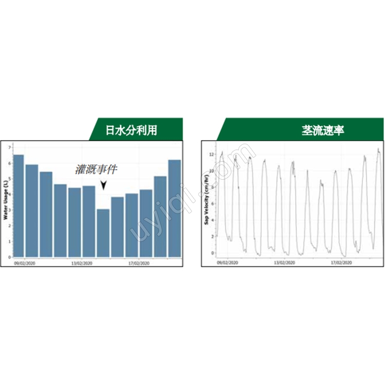 SFM1x植物莖流液流計澳大利亞ICT
