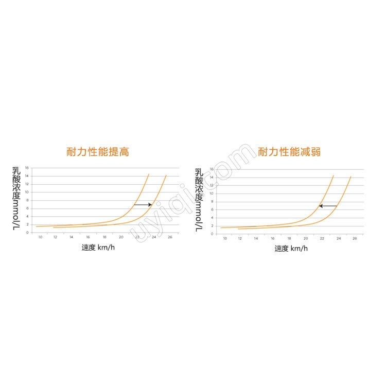 便攜式乳酸分析儀Lactate Scout 4德國EKF宜得孚