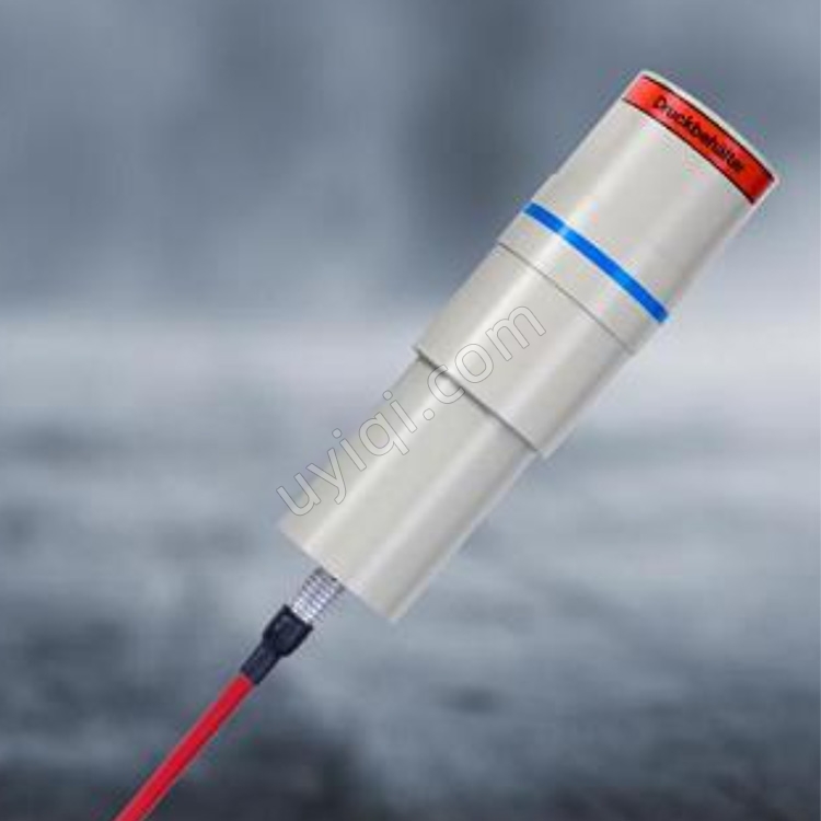 LB6701L-H10電離室劑量率輻射測(cè)量計(jì)德國(guó)伯托BERTHOLD