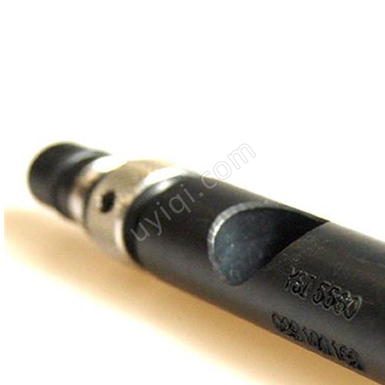 美國YSI 5560電導率溫度探頭556型