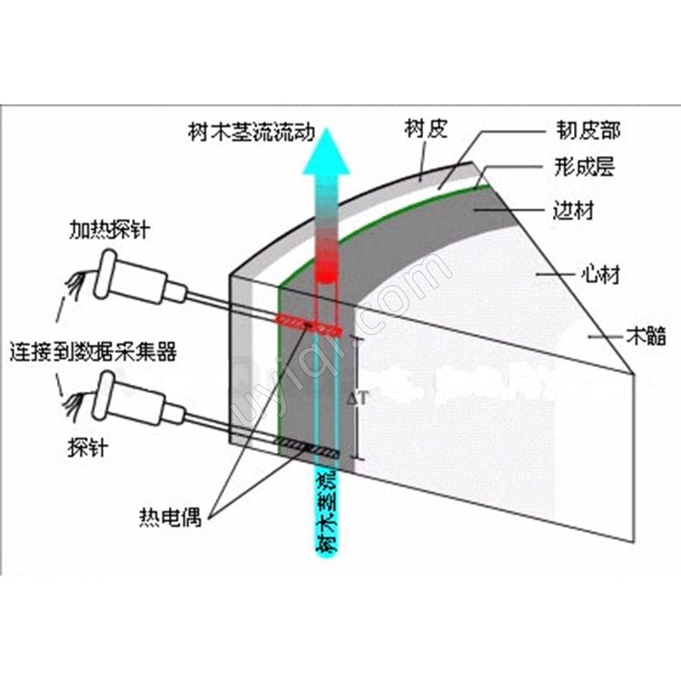 SF-G莖流液流測(cè)量系統(tǒng)德國(guó)Ecomatik