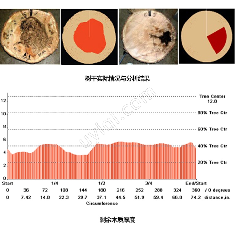 TRU樹木雷達(dá)檢測系統(tǒng)美國Treeradar
