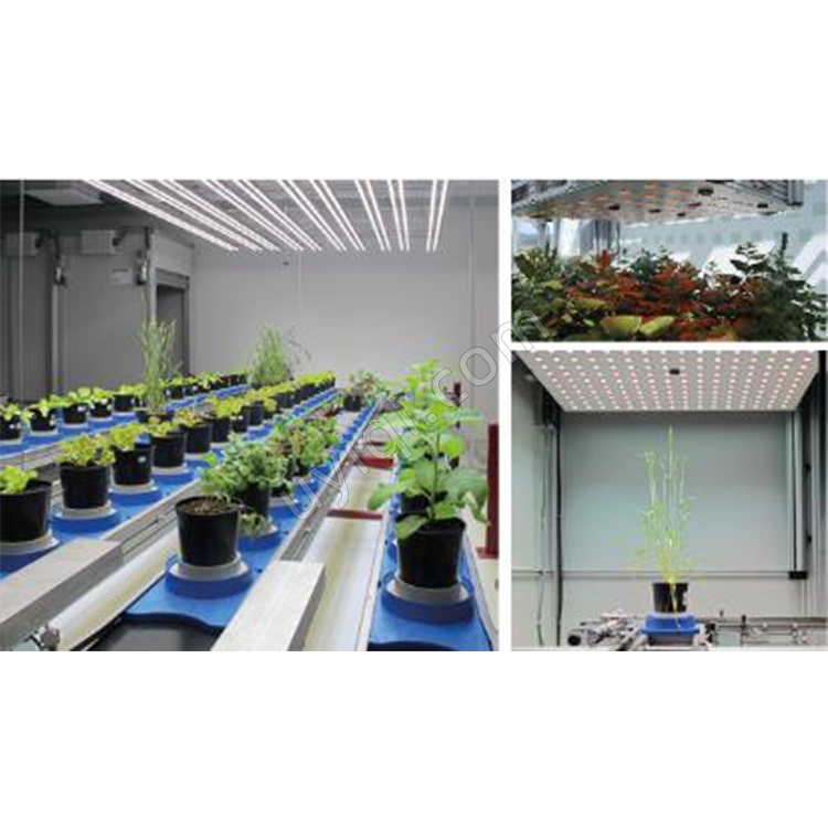 PlantScreen高通量植物表型成像分析系統(tǒng)捷克PSI