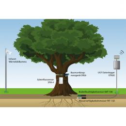 Talking Tree樹木監(jiān)測系統(tǒng)德國UGT-Talking Tree