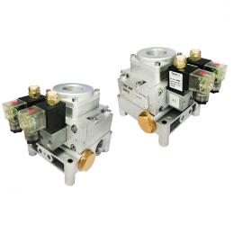 TOPAIR雙聯(lián)安全閥DVX20-DVX20