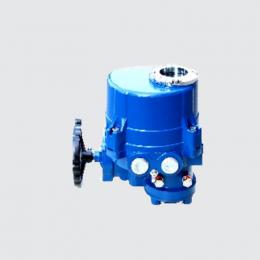 MORC加拿大角行程電動(dòng)執(zhí)行器MAQ-MAQ