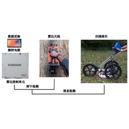 TRU樹木雷達(dá)檢測系統(tǒng)美國Treeradar-TRU