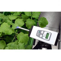 Monitoring Pen植物葉綠素熒光測量儀捷克PSI-Monitoring Pen