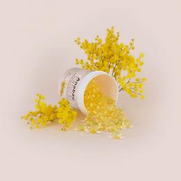 法國interscience高壓滅菌鍋除臭劑（Anabac Natural Mimosa）321300-Anabac Natural Mimosa