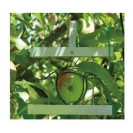DF水果蔬菜生長測量儀德國Ecomatik-DF