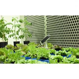 GC精密植物生長室捷克PSI-GC